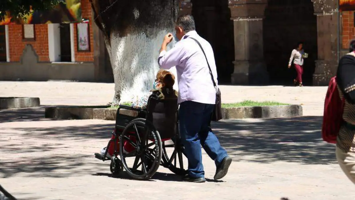 adultos mayores sillade ruedas parque